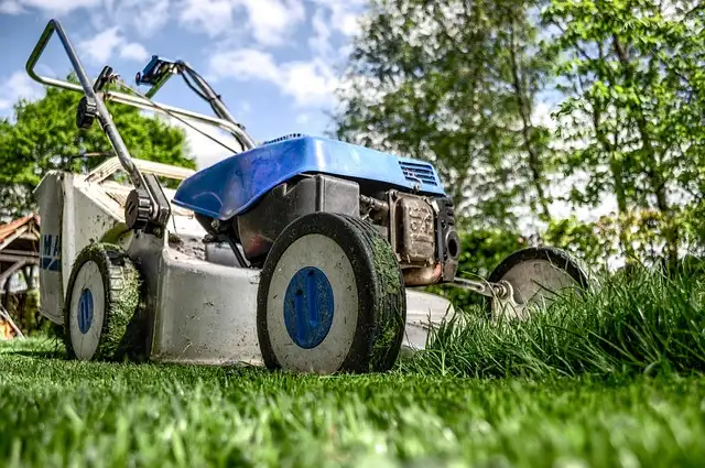 Travaux d'entretien des espaces verts réalisés par Multiservice Bauer